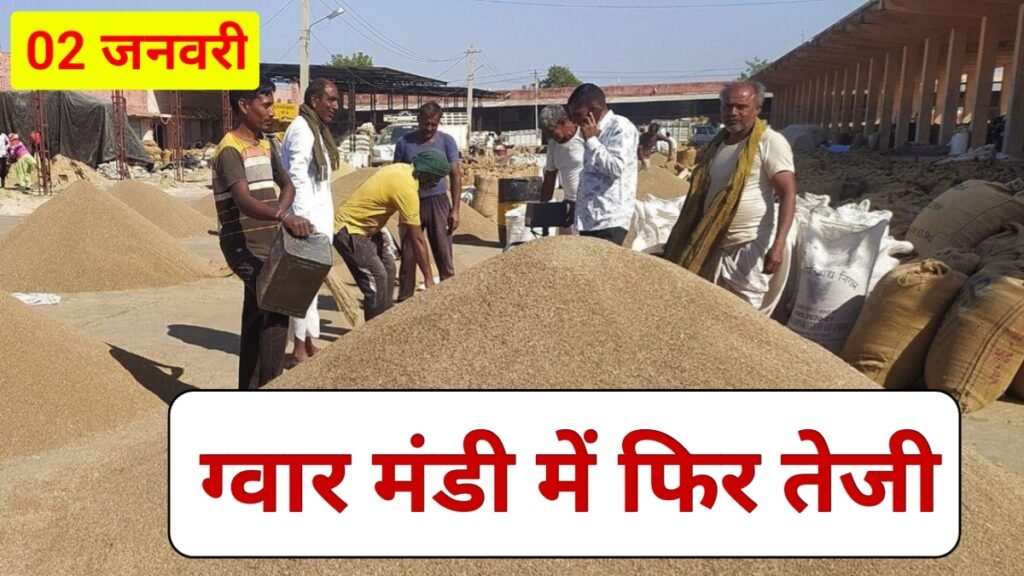 Guar Mandi Bhav Today