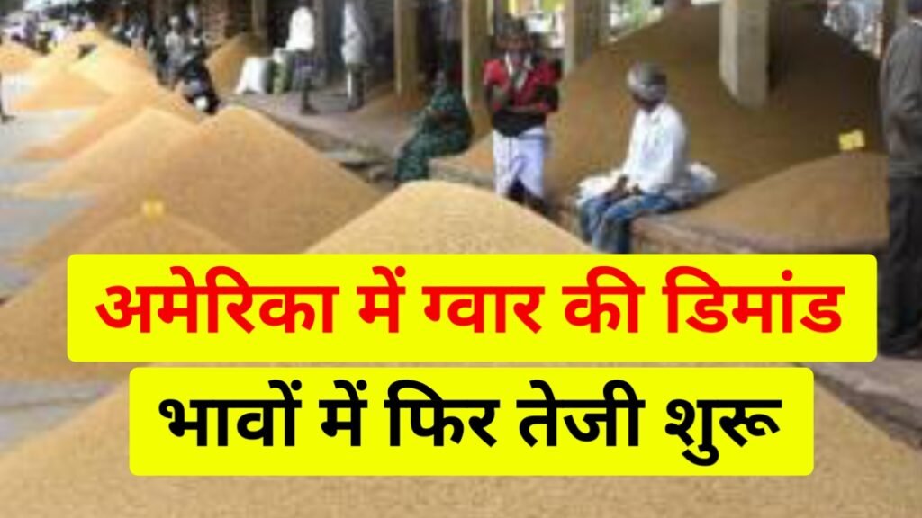 Guar Gum Export By USA